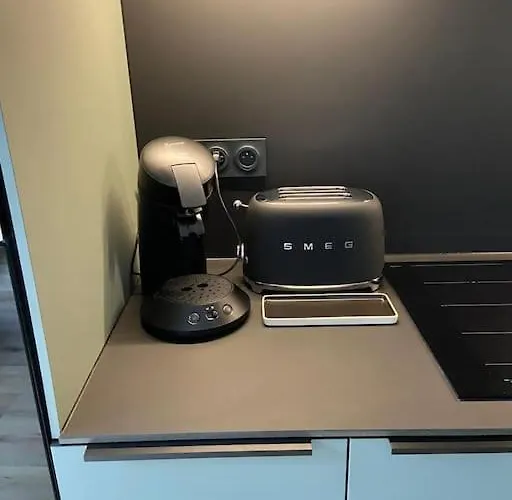 New 5min To Little Venice - Close To Xmas Fair * 科尔马